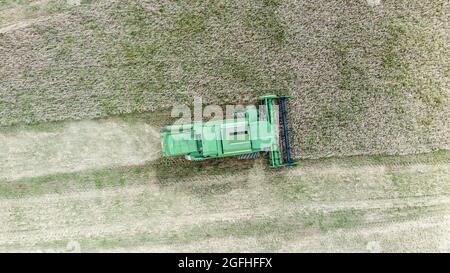 La moissonneuse-batteuse verte récolte de l'orge dans les champs en été. Vue aérienne. Temps de récolte. Banque D'Images