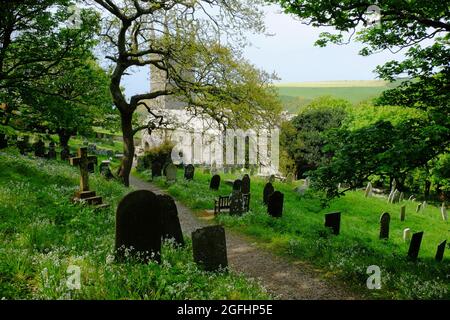 Église, cimetière et fleurs de printemps blanches à Morwenstow, Cornouailles, Angleterre Banque D'Images