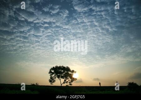 Images pour enfants jouant dans le ciel du coucher du soleil dans la campagne de bac Giang Vietnam Banque D'Images