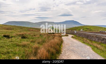 Yorkshire Dales paysage avec Ingleborough en arrière-plan, vu de Blea Moor, North Yorkshire, Angleterre, Royaume-Uni Banque D'Images