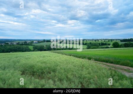 Le magnifique paysage naturel de l'Eifel Allemagne. Un magnifique champ de prairie au coucher du soleil avec des nuages Banque D'Images