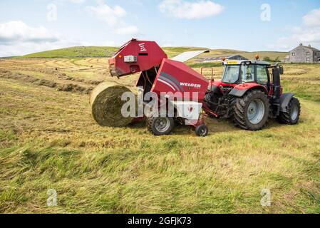 Réalisation de grosses balles avec un tracteur Massey Ferguson à Malham Moor en août 2021 Banque D'Images