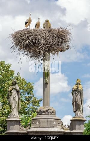 Deux cigognes regardant la caméra depuis leur nid au-dessus de la croix de Jésus au cimetière de Muizen près de Mechelen Banque D'Images