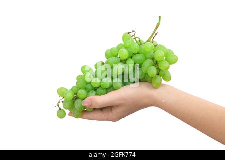 Raisin vert isolé sur fond blanc. Femme main tenant des raisins verts mûrs Banque D'Images