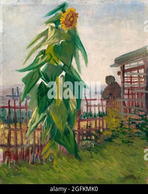 Vincent van Gogh – Allotissement avec Sunflower (1887) célèbre peinture. Banque D'Images