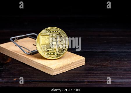 Technologie blockchain. Pièce de monnaie en bitcoin d'or dans un mousetrap. Investissements risqués. Banque D'Images