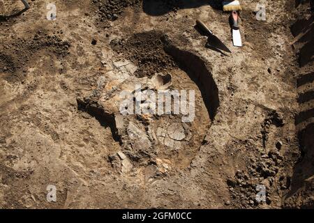 Des fouilles archéologiques, des archéologues travaillent, creusent un antique artefact en argile avec des outils spéciaux dans le sol Banque D'Images