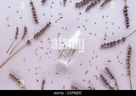 Bouteille de lotion naturelle pour le soin de la peau et fleurs de lavande sur fond lilas clair. Vue de dessus, plan d'appartement. Banque D'Images