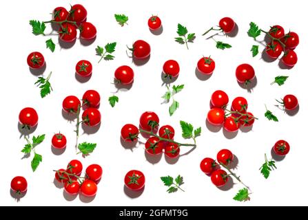 Petites tomates avec feuilles de persil isolées sur fond blanc. Banque D'Images