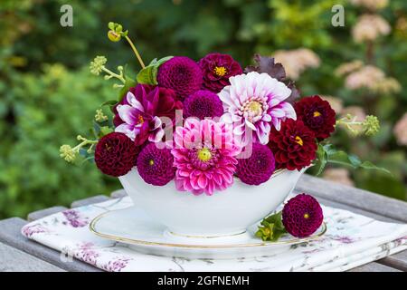 bouquet de fleurs de dahlia roses en bateau à sauce vintage Banque D'Images