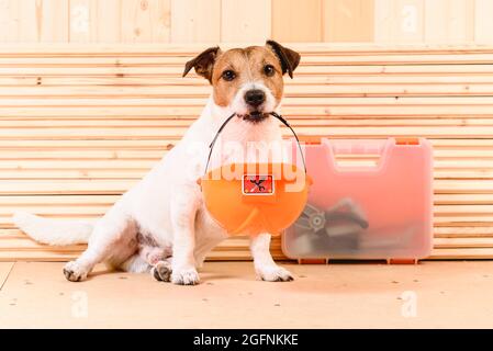 La sécurité d'abord concept avec mignon chien tenant le casque dans la bouche au chantier Banque D'Images