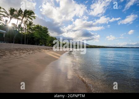 Le soleil se délecte à travers les palmiers verts luxuriants tandis que les vagues se roulent et sortent tôt le matin sur la plage Ka'anapali à Lahaina, Maui, Hawaii. Banque D'Images