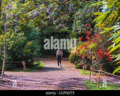 PORTO, PORTUGAL - 05 juillet 2021 : une fille marchant dans le jardin botanique de Porto, Portugal Banque D'Images