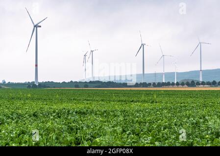 Ferme éolienne dans la campagne lors d'une journée d'été brumeuse.Un champ de culture est au premier plan. Banque D'Images