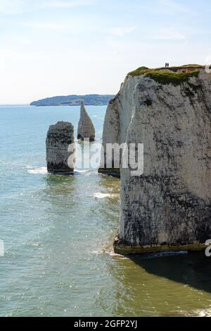 Piles de craie près de Old Harry Rocks, Jurassic Coast, Purbeck, Dorset, Royaume-Uni Banque D'Images