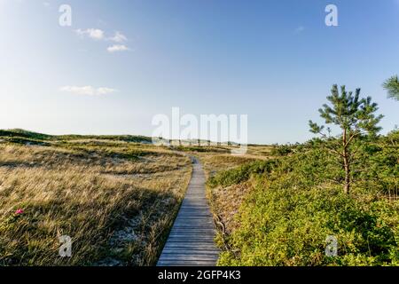 Une promenade en bois menant à la plage mène à travers les dunes de sable et les arbustes jusqu'au coucher du soleil sur la plage Banque D'Images