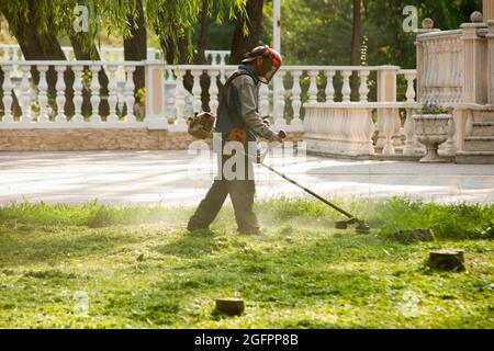 L'homme s'occupe de la pelouse. Un homme en vêtements de protection tond la pelouse avec une tondeuse à main Banque D'Images