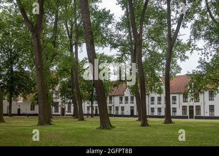 Brugge, Flandre, Belgique - 4 août 2021 : cour de parc verte avec de grands arbres et des maisons blanches comme toile de fond dans le Béguinage. Banque D'Images