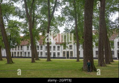 Brugge, Flandre, Belgique - 4 août 2021 : cour de parc verte avec de grands arbres et des maisons blanches comme toile de fond dans le Béguinage. Banque D'Images