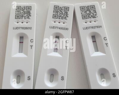 Sussex, Royaume-Uni, 26 août 2021 : un test de débit latéral positif montre une double ligne distincte confirmant la présence du coronavirus sur l'échantillon de l'écouvillon. Deux tests de débit latéral négatif montrent une seule ligne au niveau de C pour le contrôle. Avec plus de 38,000 nouveaux tests positifs enregistrés au cours des 24 heures précédentes, les cas de Covid-19 augmentent à nouveau. Anna Watson/Alay Live News Banque D'Images