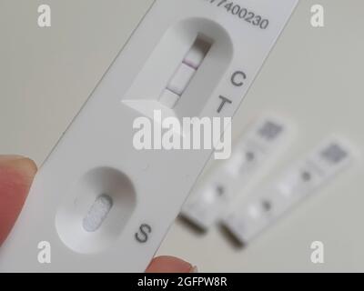 Sussex, Royaume-Uni, 26 août 2021 : un test de débit latéral positif montre une double ligne distincte confirmant la présence du coronavirus sur l'échantillon de l'écouvillon. Deux tests de débit latéral négatif montrent une seule ligne au niveau de C pour le contrôle. Avec plus de 38,000 nouveaux tests positifs enregistrés au cours des 24 heures précédentes, les cas de Covid-19 augmentent à nouveau. Anna Watson/Alay Live News Banque D'Images