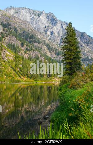 Un sapin sur la rive de la rivière Wenatchee qui traverse les montagnes Cascade dans le canyon de Tumwater, près de Leavenworth, Washington Banque D'Images