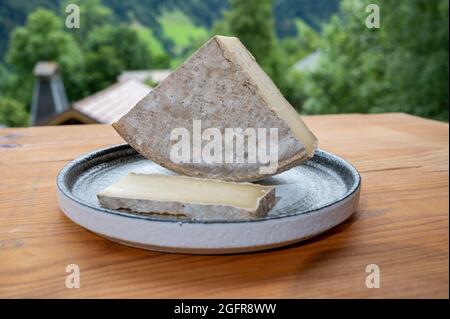 Collection de fromages, tomme de savoie et village de montagnes françaises en haute-Savoie en été en arrière-plan Banque D'Images