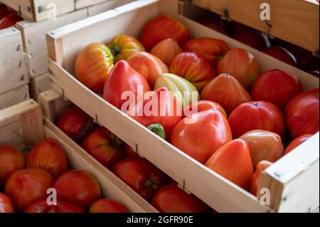 De savoureuses grosses tomates mûres françaises dans des boîtes en bois sur le marché des agriculteurs en Provence en été Banque D'Images