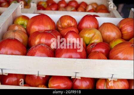 De savoureuses grosses tomates mûres françaises dans des boîtes en bois sur le marché des agriculteurs en Provence en été Banque D'Images