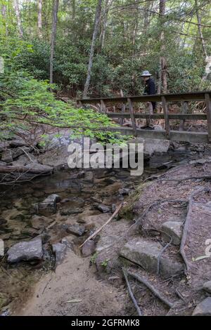 Parc national de New River gorge, Virginie-Occidentale. Passerelle de randonnée traversant Fern Creek sur l'interminable sentier de Wall Trail. Banque D'Images