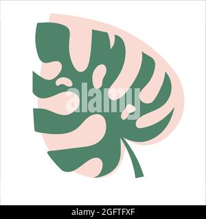 Feuille de Monstera delicosa vert tropical sur une tache rose. Illustration isolée pour la conception. Minimalisme. Illustration de Vecteur