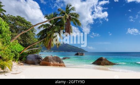 Plage tropicale avec palmiers et mer turquoise dans l'île paradisiaque Seychelles Banque D'Images