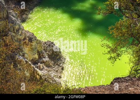 Le 'Devild's Bath', une piscine dans la zone géothermique de Waiotapu près de Rotorua, Nouvelle-Zélande. L'eau est colorée d'un vert-jaune vif par le soufre Banque D'Images