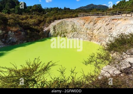 Le 'Devild's Bath', une piscine aux couleurs vives dans la zone géothermique de Waiotapu, en Nouvelle-Zélande. La couleur verte provient des dépôts de soufre dans l'eau Banque D'Images