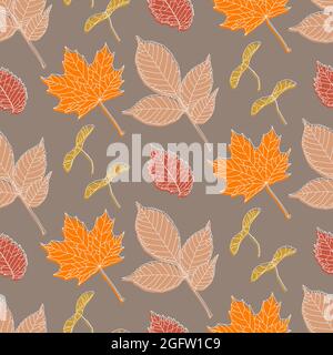 Motif sans couture dessiné à la main avec différents types de feuilles - érable, frêne, orme et graines d'érable. Contour de dessin blanc et silhouettes en couleurs d'automne pour impression textile, papier d'emballage, papiers peints. Illustration de Vecteur