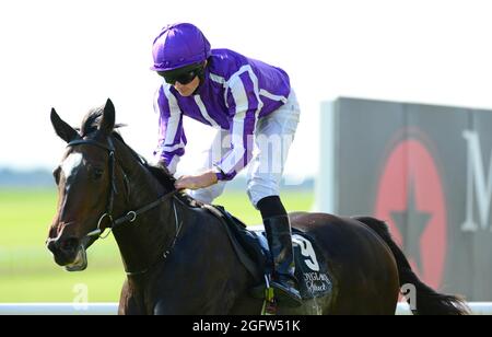 Photo du dossier datée du 13-09-2020 de Shale, prise par le jockey Ryan Moore. Date de publication : vendredi 27 août 2021. Banque D'Images