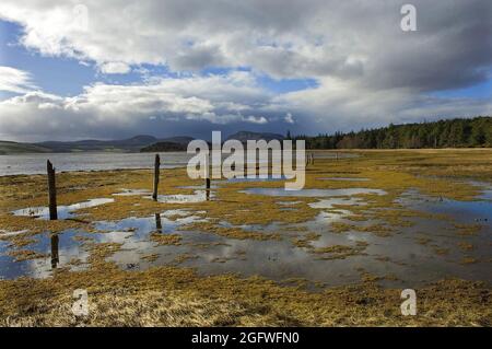 Vestiges d'une ancienne féceline longeant des prés d'eau sur les rives du Loch Fleet, Royaume-Uni, Écosse, Sutherland, Golspie Banque D'Images