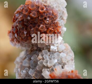 spécimen minéral aragonite pierre géologie roche cristal de gemme Banque D'Images