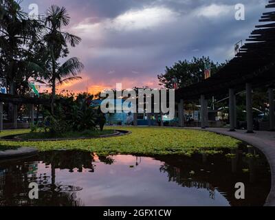 Leticia, Colombie - 29 novembre 2019 : coucher de soleil dans le parc Santander dans une petite ville sur les rives de l'Amazone. Leticia, Amazonie, Amérique du Sud Banque D'Images