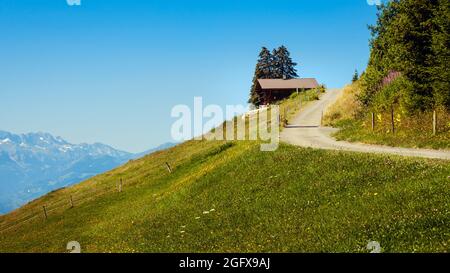 Route de montagne en béton montant entre les prairies alpines dans les Alpes suisses au-dessus d'Aigle près de Leysin lors d'une journée d'été avec un ciel bleu clair Banque D'Images