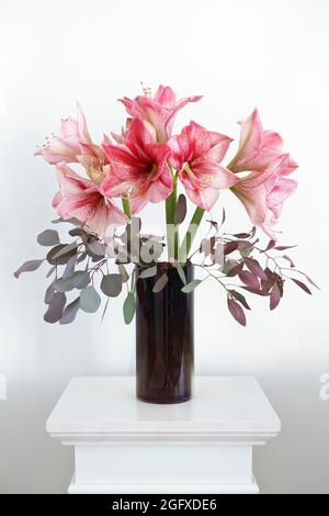 Bouquet de fleurs d'Amaryllis rouge et blanc avec branches d'eucalyptus dans un vase sur un piédestal, fond pour les salutations de saisons non religieuses. Banque D'Images