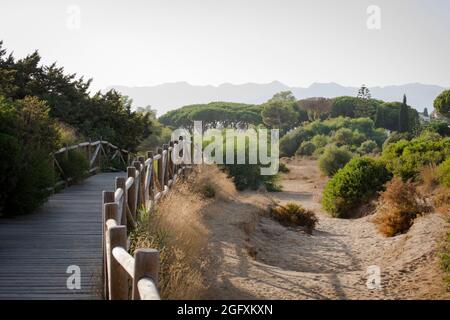 Allées en bois, plage protégée d'Artola et dunes végétation, Cabopino, monument naturel, Andalousie, Espagne. Banque D'Images