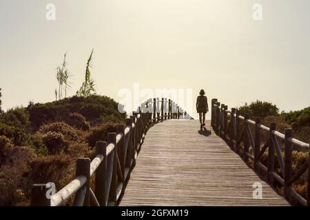 Allées en bois, plage protégée d'Artola et dunes végétation, Cabopino, monument naturel, Andalousie, Espagne. Banque D'Images