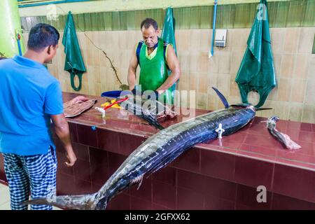 MASCULIN, MALDIVES - 11 JUILLET 2016: Espadon en vente au marché du poisson de Malé. Banque D'Images