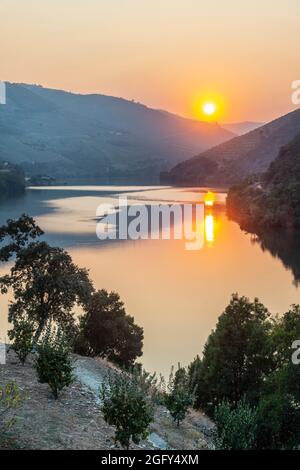 Le fleuve Douro au coucher du soleil entre Folgosa et Pinhao. Dans la région viticole du Haut-Douro, Nord du Portugal Banque D'Images