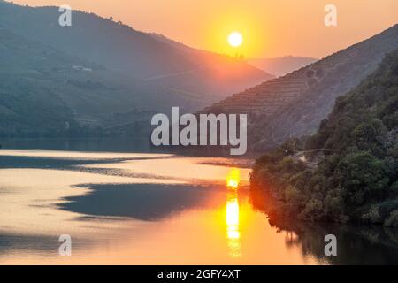Le fleuve Douro au coucher du soleil entre Folgosa et Pinhao. Dans la région viticole du Haut-Douro, Nord du Portugal Banque D'Images
