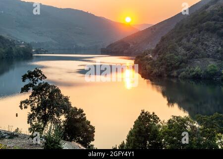 Le fleuve Douro au coucher du soleil entre Folgosa et Pinhao. Dans la région viticole du Haut-Douro, Nord du Portugal Banque D'Images