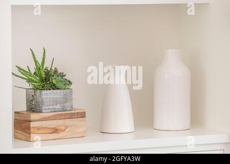 Photo moderne de l'intérieur de deux vases blancs et de l'usine de cactus dans une alcôve blanche. Banque D'Images