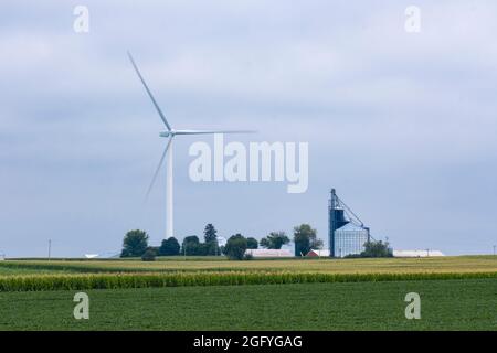 Près de Earlville, Iowa. Les lames du moulin à vent tournent lentement derrière les bacs de stockage de grain. Graines de soja et champ de maïs en premier plan. Banque D'Images