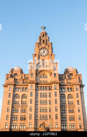 Vue sur le Royal Liver Building sur le front de mer de Liverpool un soir en août 2021 alors que le soleil commence à se coucher. Banque D'Images